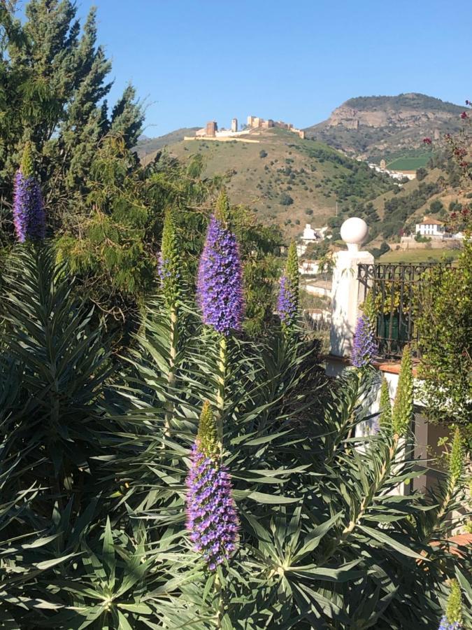 埃尔乔罗La Barranca De La Barca住宿加早餐旅馆 外观 照片